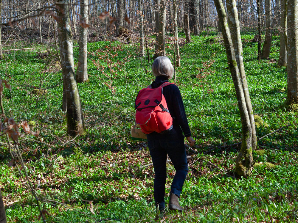 Leventina Wanderung
